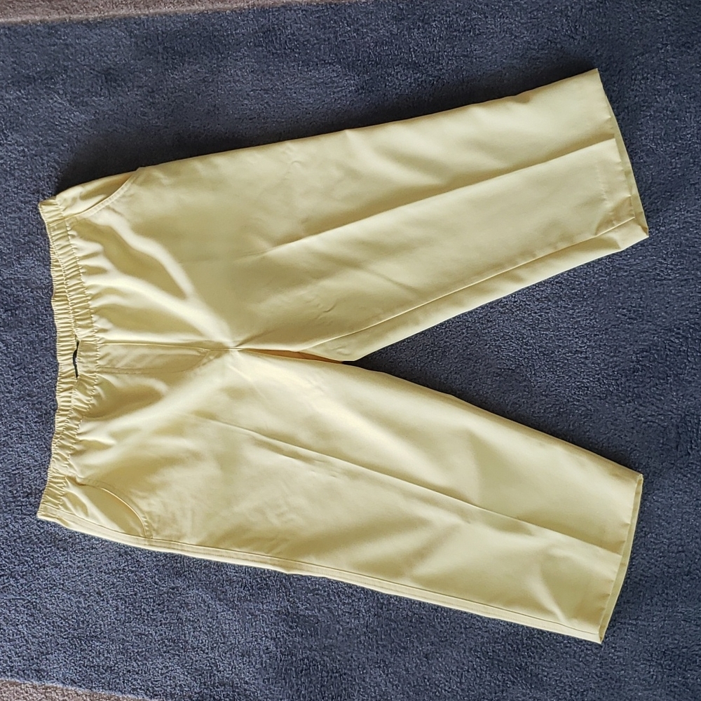 Alia  misses crop pants